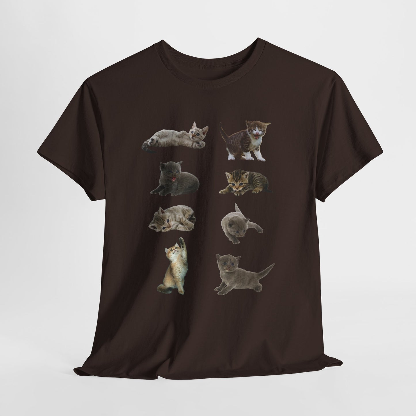Cute Cat Lover T-Shirt, Perfect Gift for Cat Enthusiasts, Fun Animal Tee for Birthdays, Casual Wear, Pet Lovers