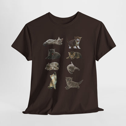 Cute Cat Lover T-Shirt, Perfect Gift for Cat Enthusiasts, Fun Animal Tee for Birthdays, Casual Wear, Pet Lovers