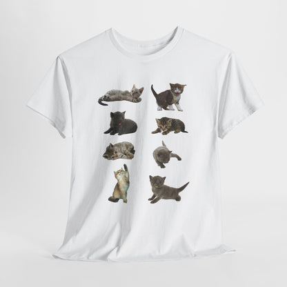 Cute Cat Lover T-Shirt, Perfect Gift for Cat Enthusiasts, Fun Animal Tee for Birthdays, Casual Wear, Pet Lovers