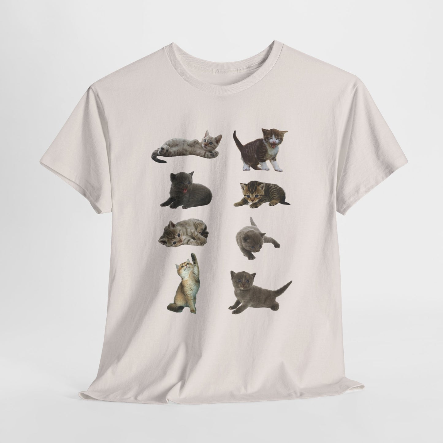 Cute Cat Lover T-Shirt, Perfect Gift for Cat Enthusiasts, Fun Animal Tee for Birthdays, Casual Wear, Pet Lovers