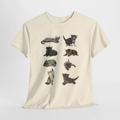 Cute Cat Lover T-Shirt, Perfect Gift for Cat Enthusiasts, Fun Animal Tee for Birthdays, Casual Wear, Pet Lovers